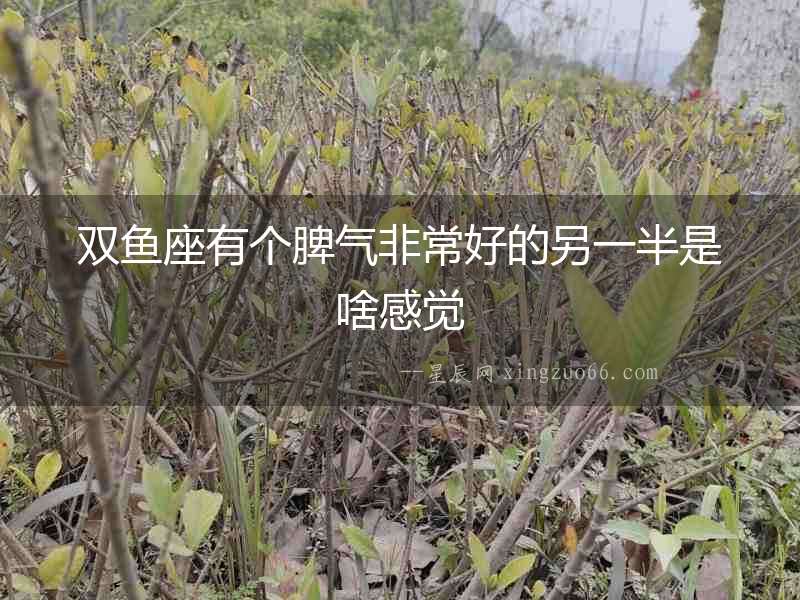 雙魚座有個脾氣非常好的另一半是啥感覺