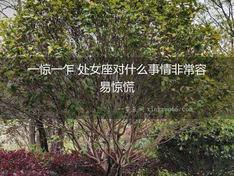 一驚一乍 處女座對什么事情非常容易驚慌