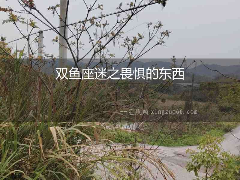 雙魚座迷之畏懼的東西