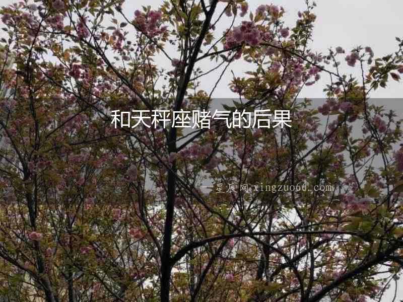 和天秤座賭氣的后果