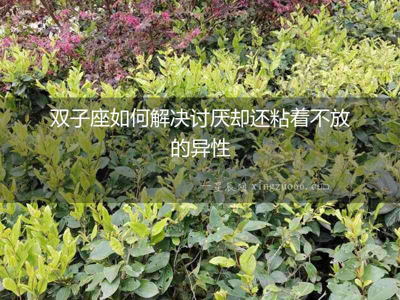 雙子座如何解決討厭卻還粘著不放的異性