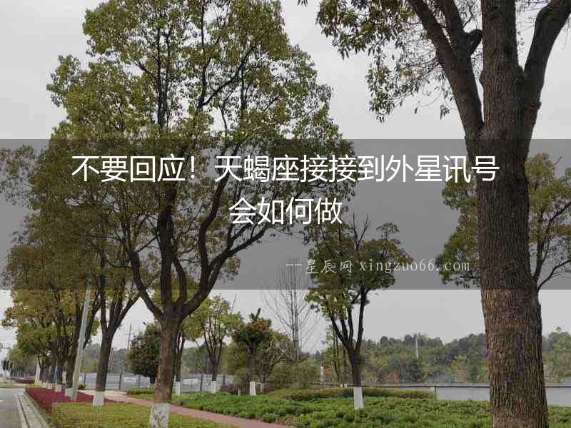 不要回應(yīng)！天蝎座接接到外星訊號(hào)會(huì)如何做