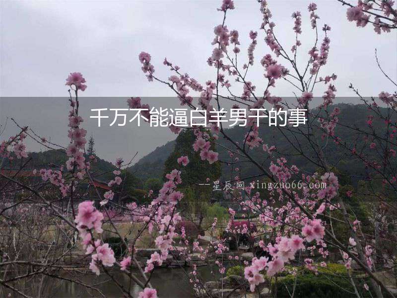 千萬不能逼白羊男干的事