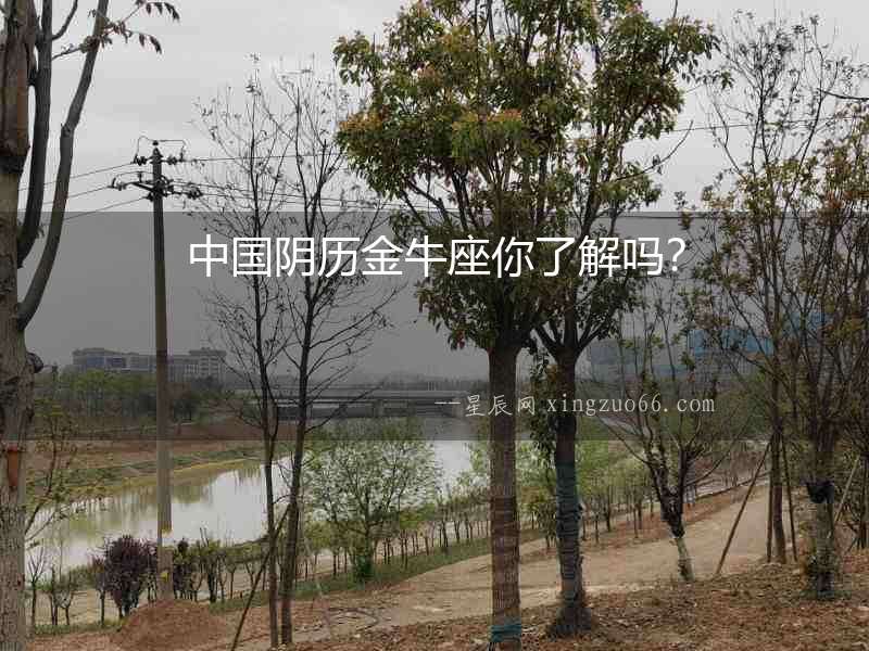 中國陰歷金牛座你了解嗎？