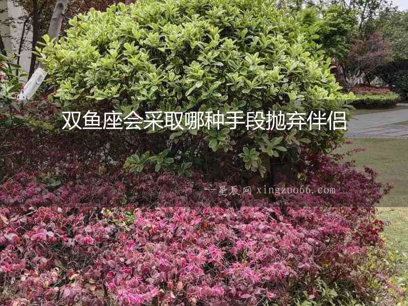 雙魚座會采取哪種手段拋棄伴侶
