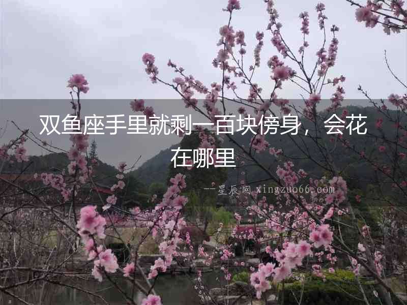 雙魚座手里就剩一百塊傍身，會花在哪里