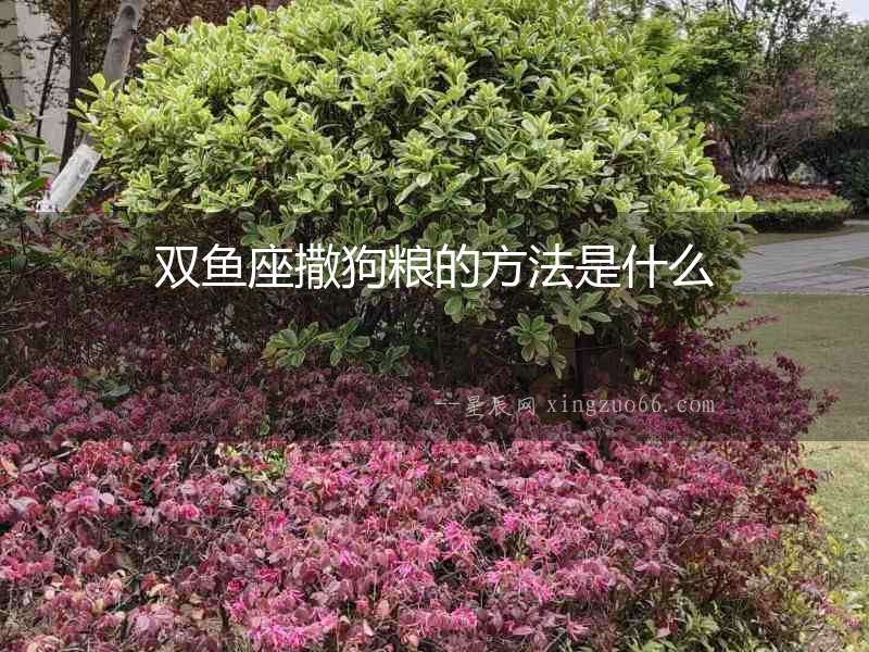 雙魚座撒狗糧的方法是什么