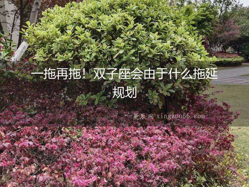 一拖再拖！雙子座會由于什么拖延規(guī)劃