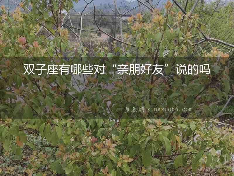 雙子座有哪些對“親朋好友”說的嗎