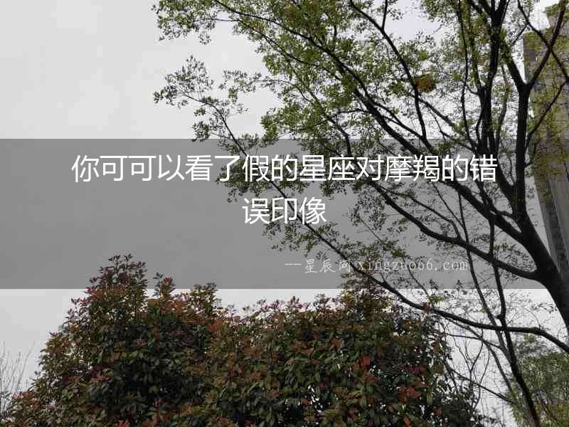 你可可以看了假的星座對摩羯的錯誤印像