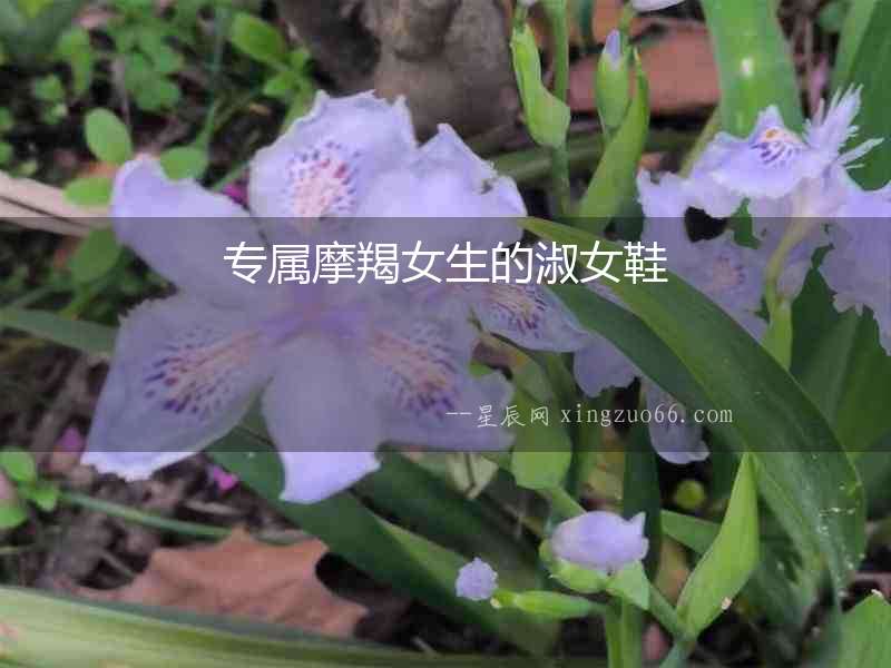 專屬摩羯女生的淑女鞋