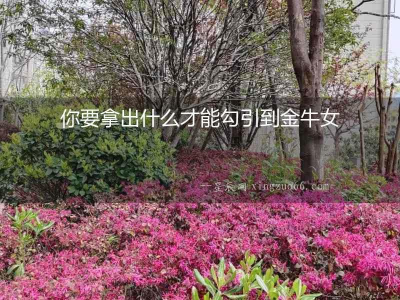 你要拿出什么才能勾引到金牛女