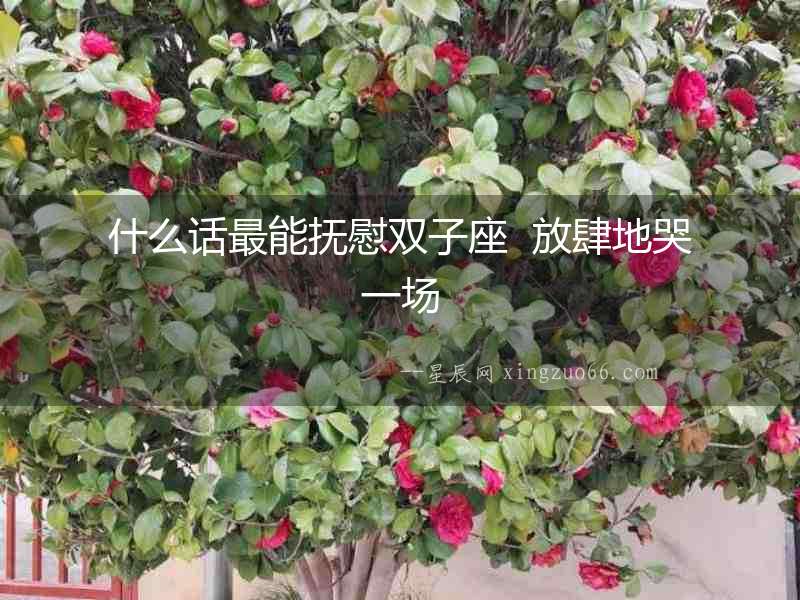 什么話最能撫慰雙子座  放肆地哭一場