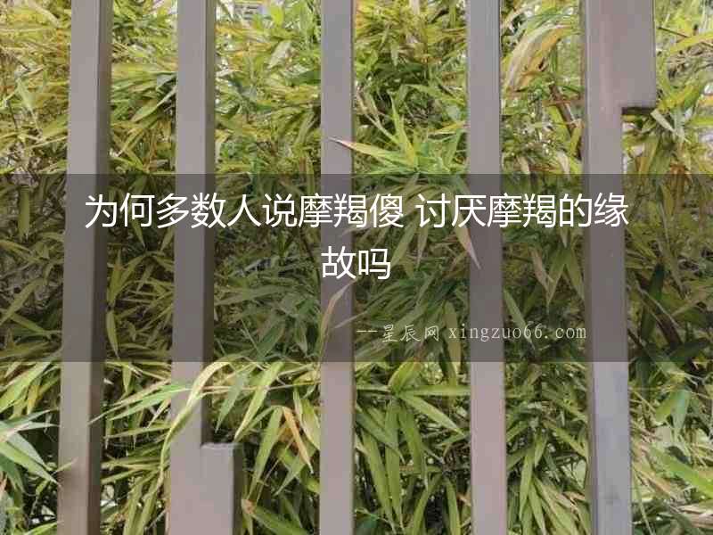 為何多數人說摩羯傻 討厭摩羯的緣故嗎