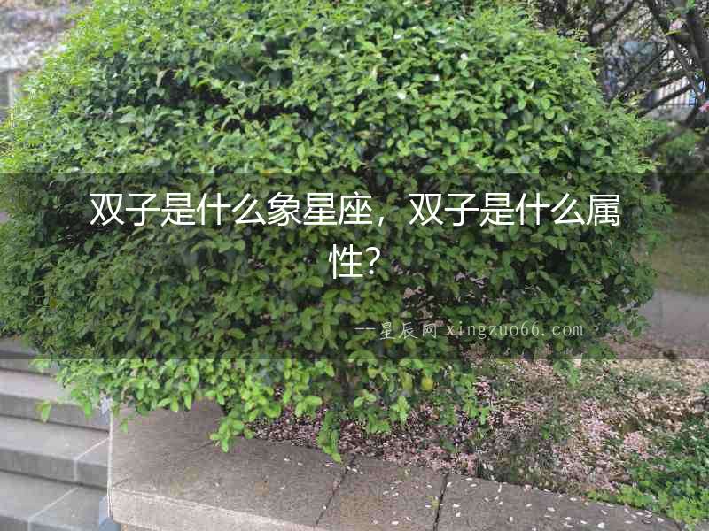 雙子是什么象星座，雙子是什么屬性？