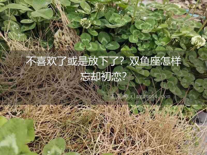 不喜歡了或是放下了？雙魚座怎樣忘卻初戀？