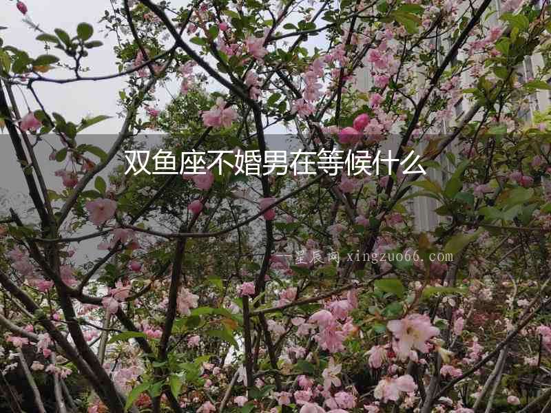 雙魚座不婚男在等候什么
