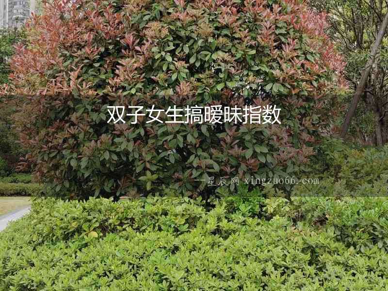 雙子女生搞曖昧指數