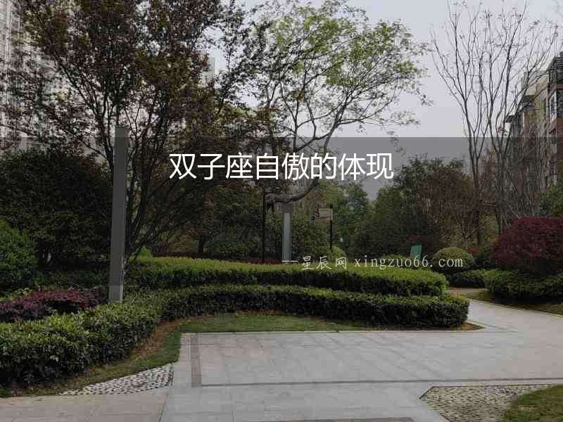 雙子座自傲的體現