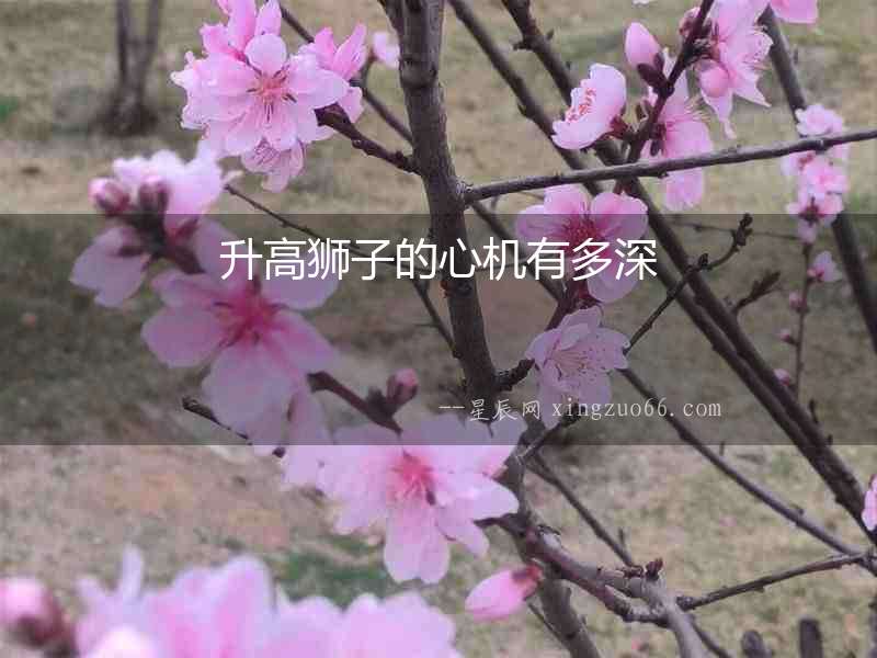 升高獅子的心機有多深