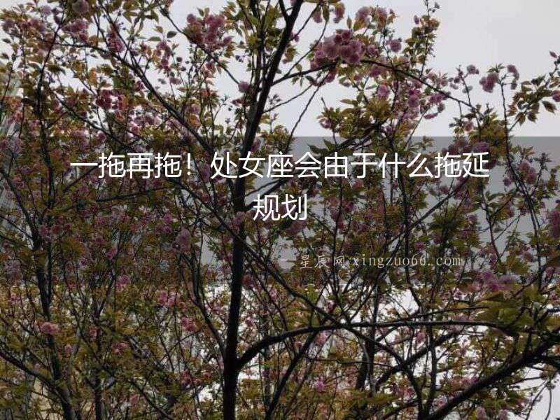 一拖再拖！處女座會(huì)由于什么拖延規(guī)劃