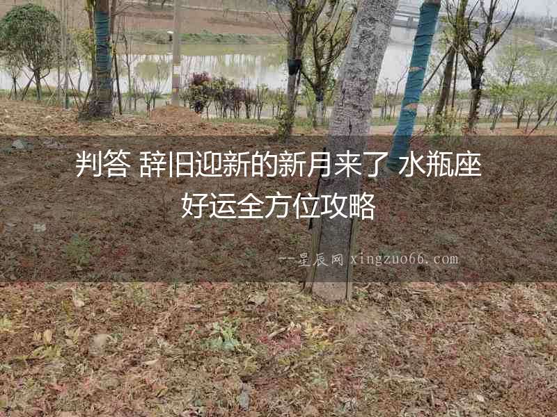 判答 辭舊迎新的新月來了 水瓶座好運全方位攻略