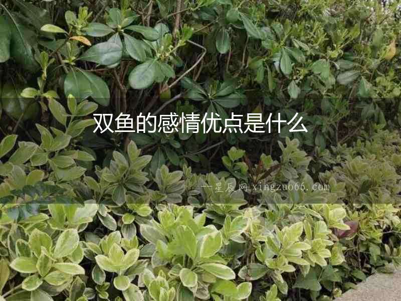 雙魚的感情優點是什么