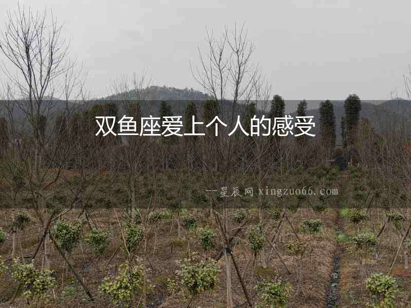 雙魚座愛上個人的感受