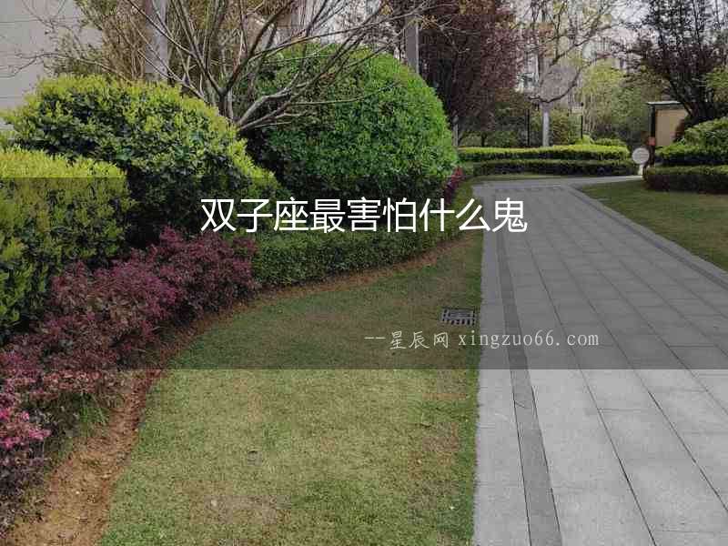 雙子座最害怕什么鬼