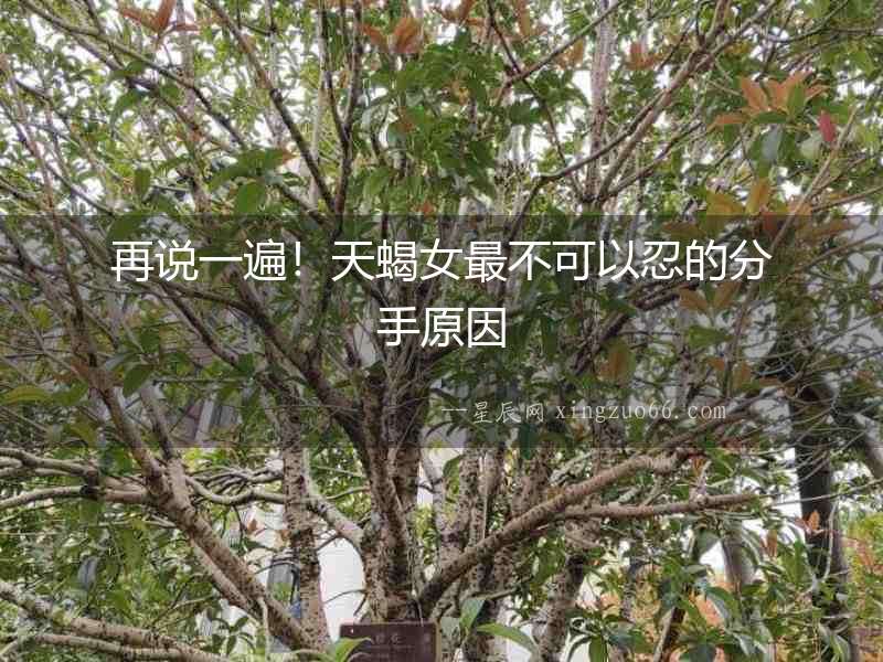再說一遍！天蝎女最不可以忍的分手原因