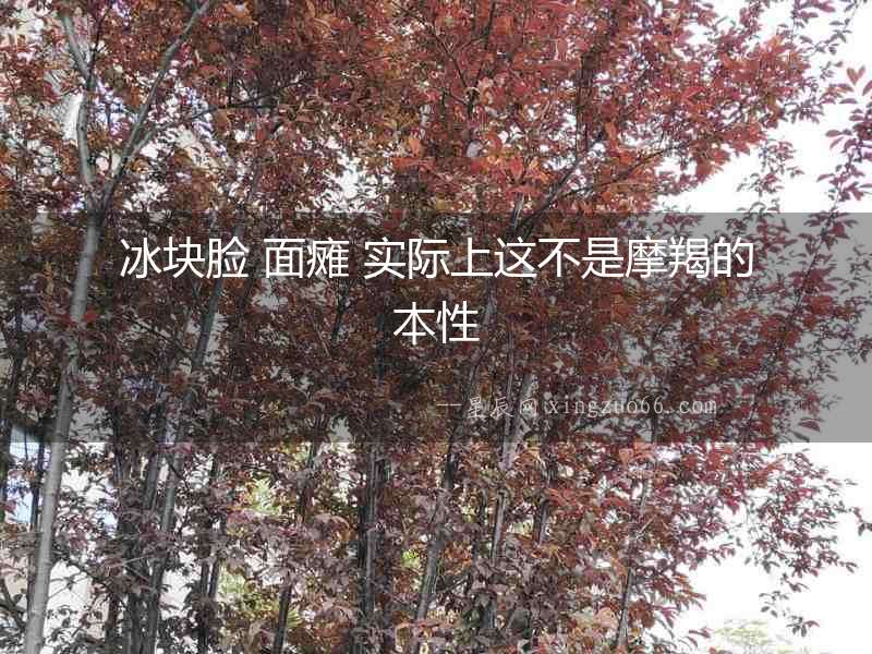 冰塊臉 面癱 實際上這不是摩羯的本性