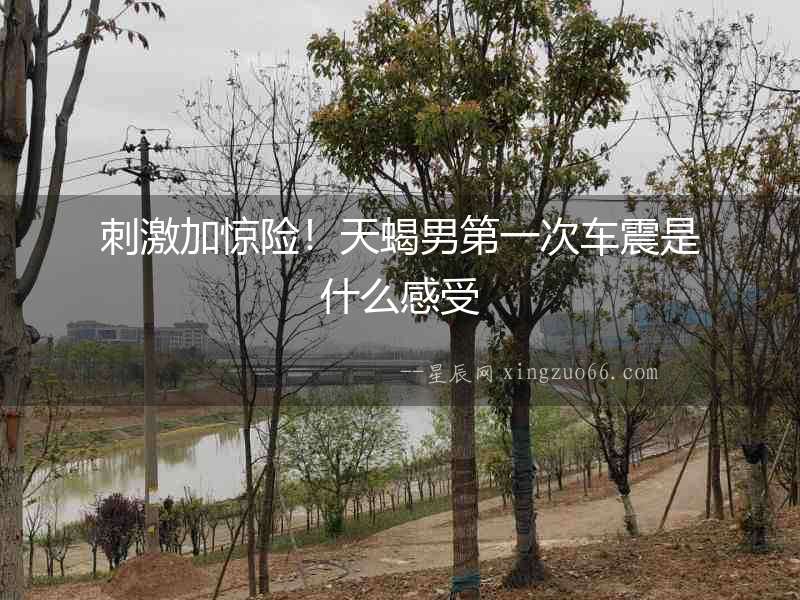 刺激加驚險！天蝎男第一次車震是什么感受