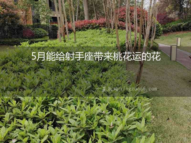 5月能給射手座帶來(lái)桃花運(yùn)的花