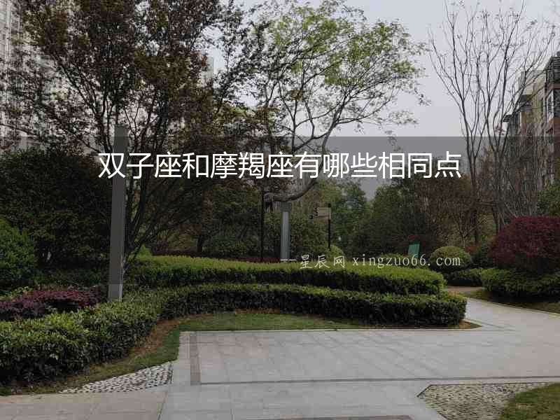 雙子座和摩羯座有哪些相同點(diǎn)