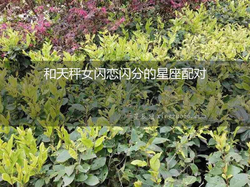 和天秤女閃戀閃分的星座配對