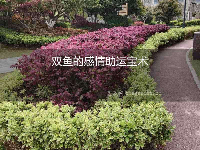 雙魚的感情助運寶術