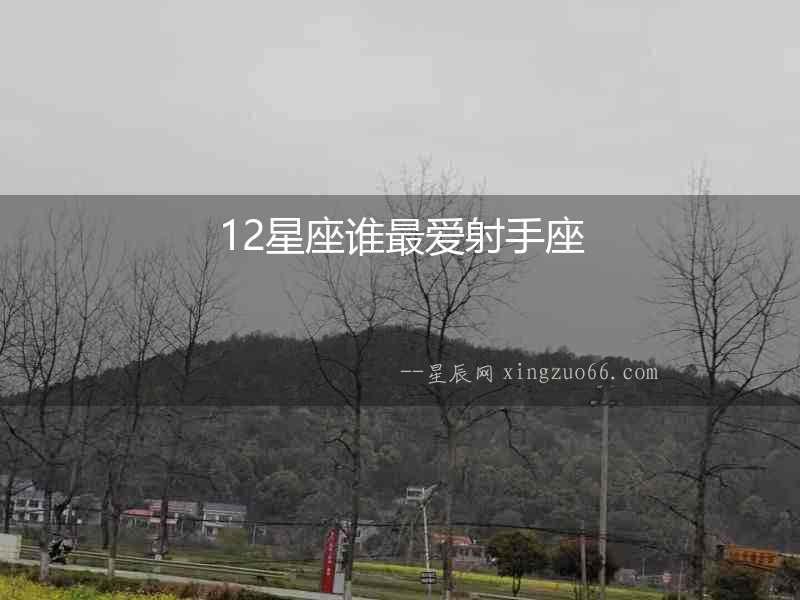 12星座誰最愛射手座