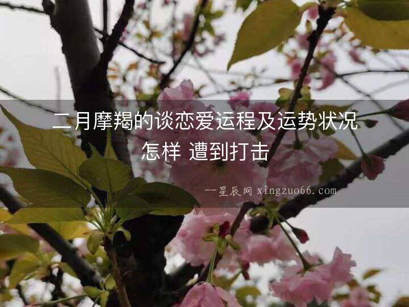 二月摩羯的談戀愛運程及運勢狀況怎樣 遭到打擊