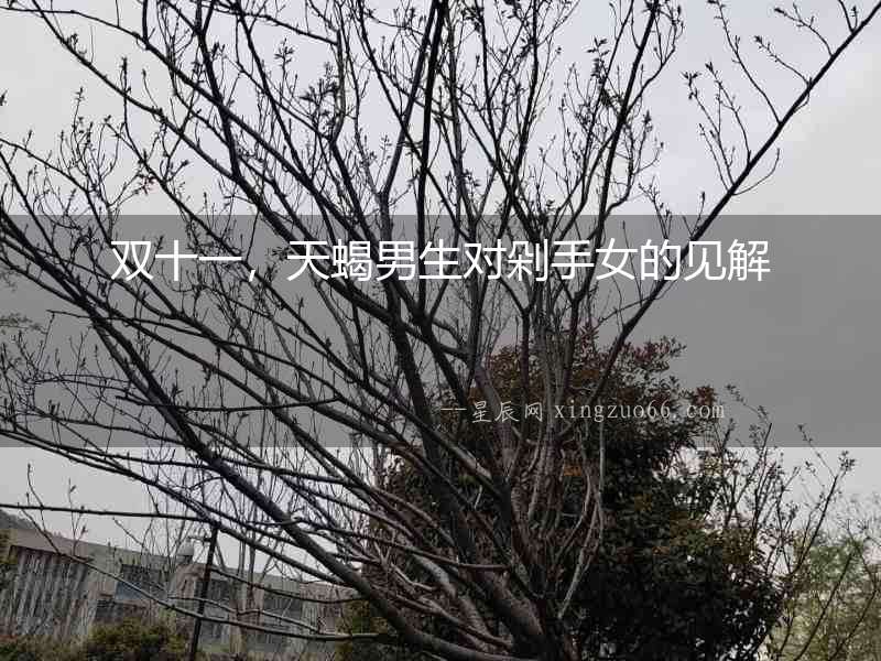 雙十一，天蝎男生對剁手女的見解