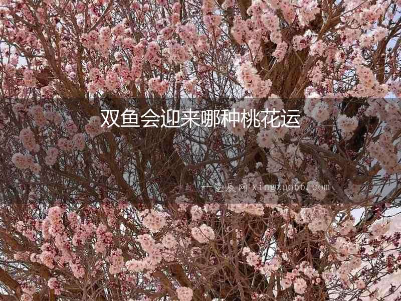 雙魚會迎來哪種桃花運