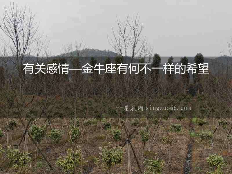 有關(guān)感情—金牛座有何不一樣的希望
