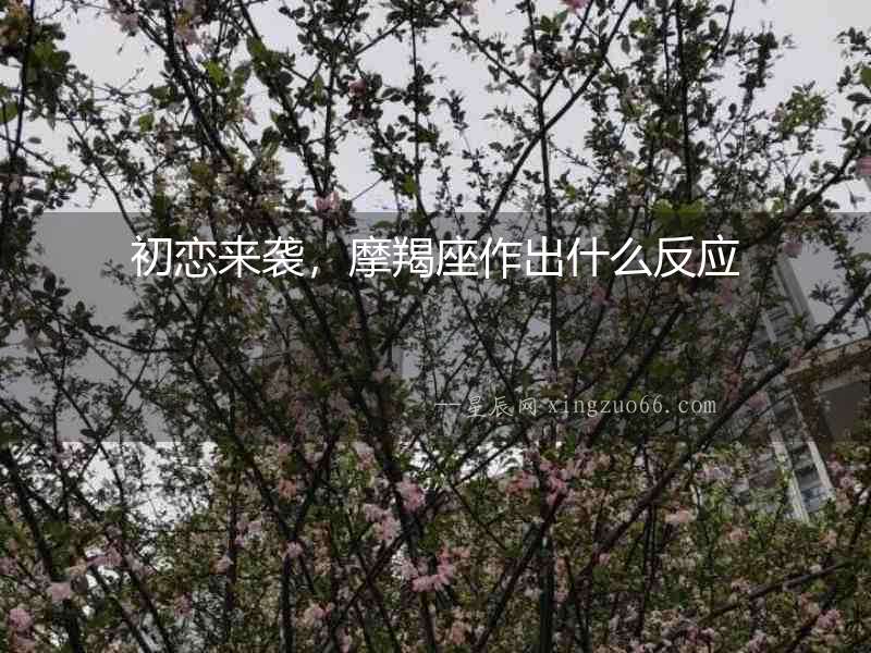 初戀來襲，摩羯座作出什么反應