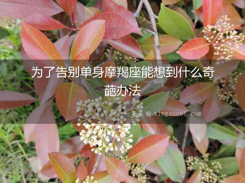 為了告別單身摩羯座能想到什么奇葩辦法