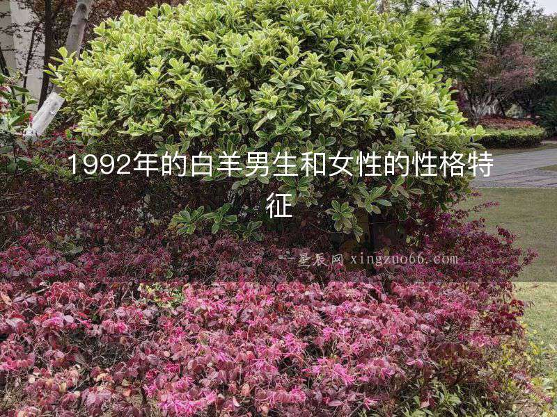 1992年的白羊男生和女性的性格特征