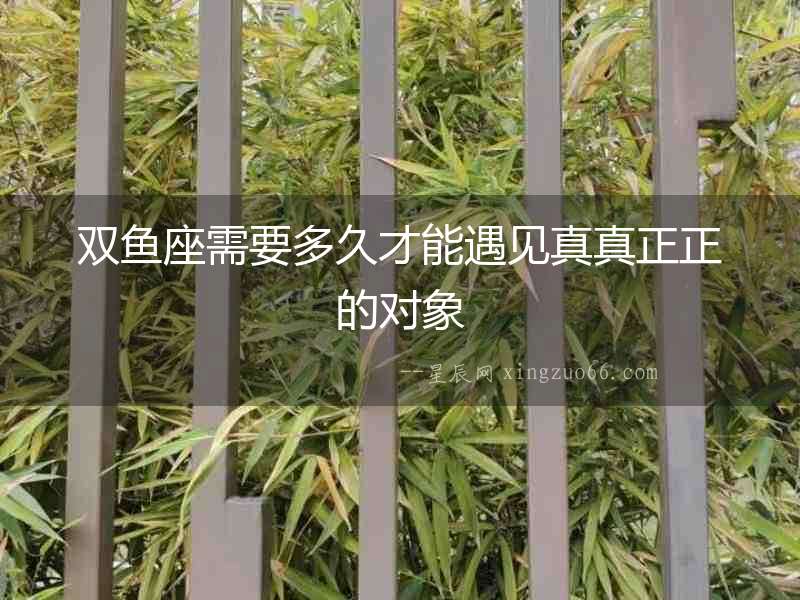 雙魚座需要多久才能遇見(jiàn)真真正正的對(duì)象