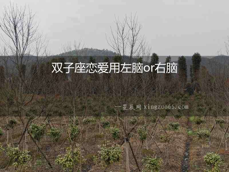 雙子座戀愛用左腦or右腦