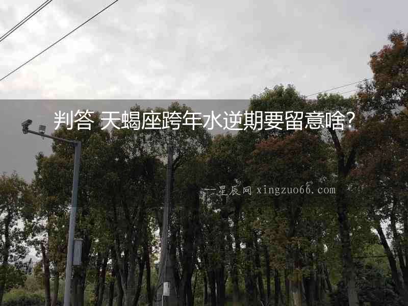 判答 天蝎座跨年水逆期要留意啥？