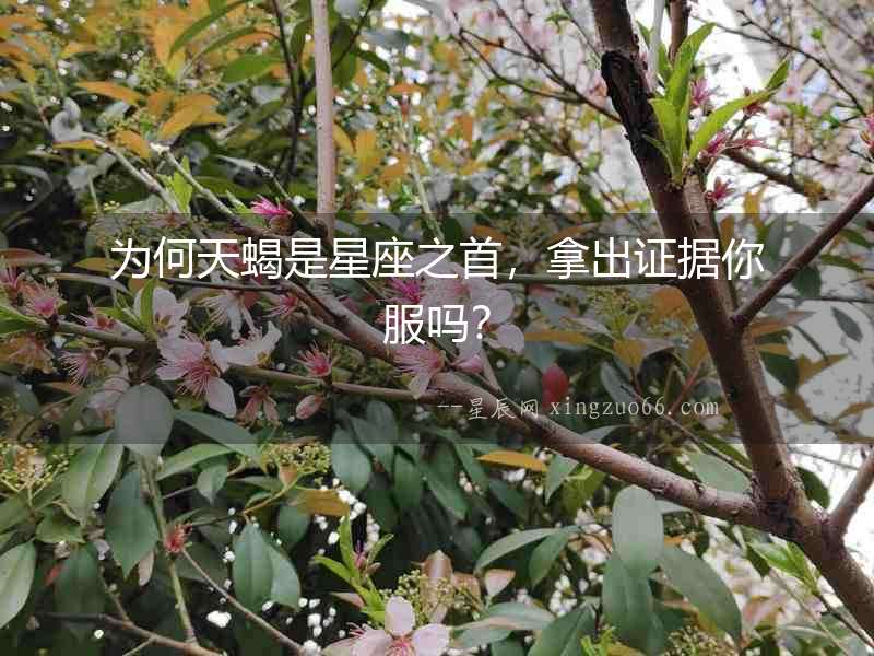 為何天蝎是星座之首，拿出證據(jù)你服嗎？