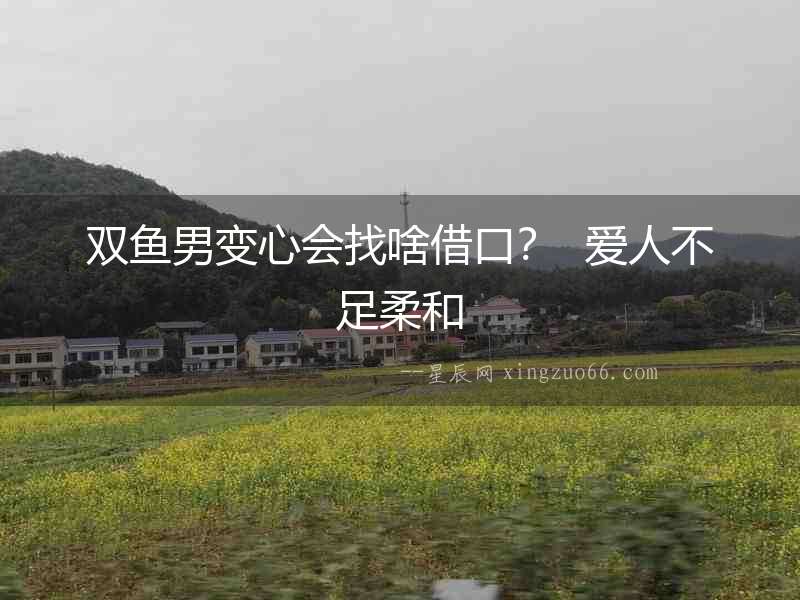 雙魚男變心會找啥借口？  愛人不足柔和