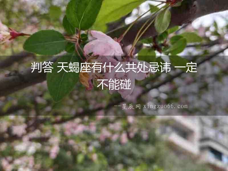 判答 天蝎座有什么共處忌諱 一定不能碰